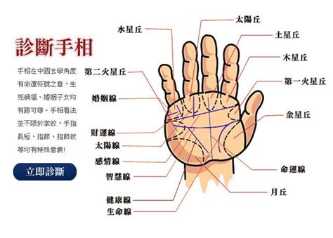 掌中十字紋|掌纹中的十字纹讲解 十字纹手相算命图解